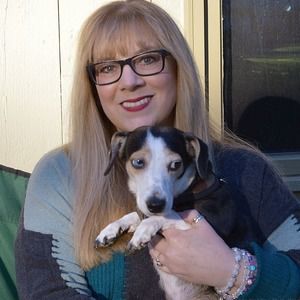 Meet your Posher, Ellen